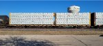 CNA 623018